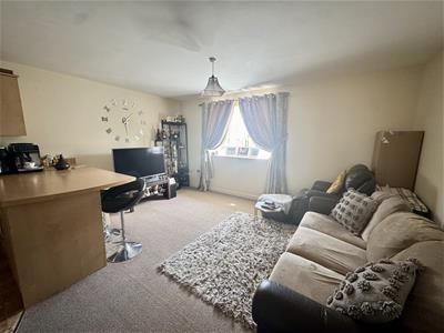 Picture 3